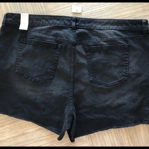 New Torrid Raw hem Embroidered lace